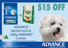 August Dental Month Advance Promotions