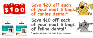 Great deals on dog and cat food at East Bentleigh Animal Care for Vet Dental Month