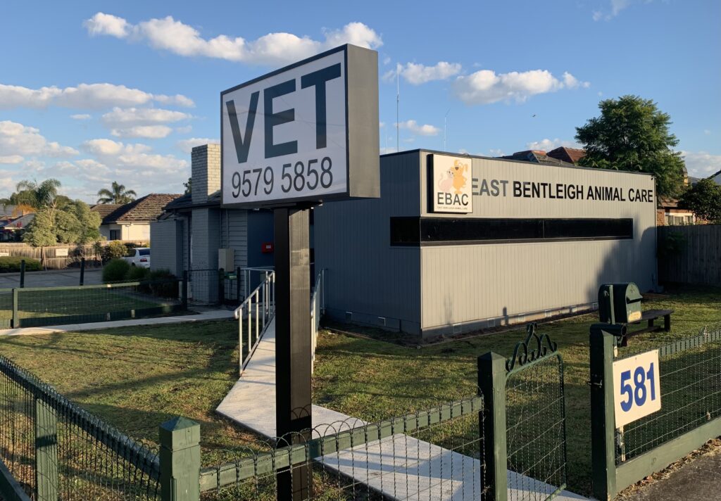 East Bentleigh Animal Care Your Friendly Local Vet