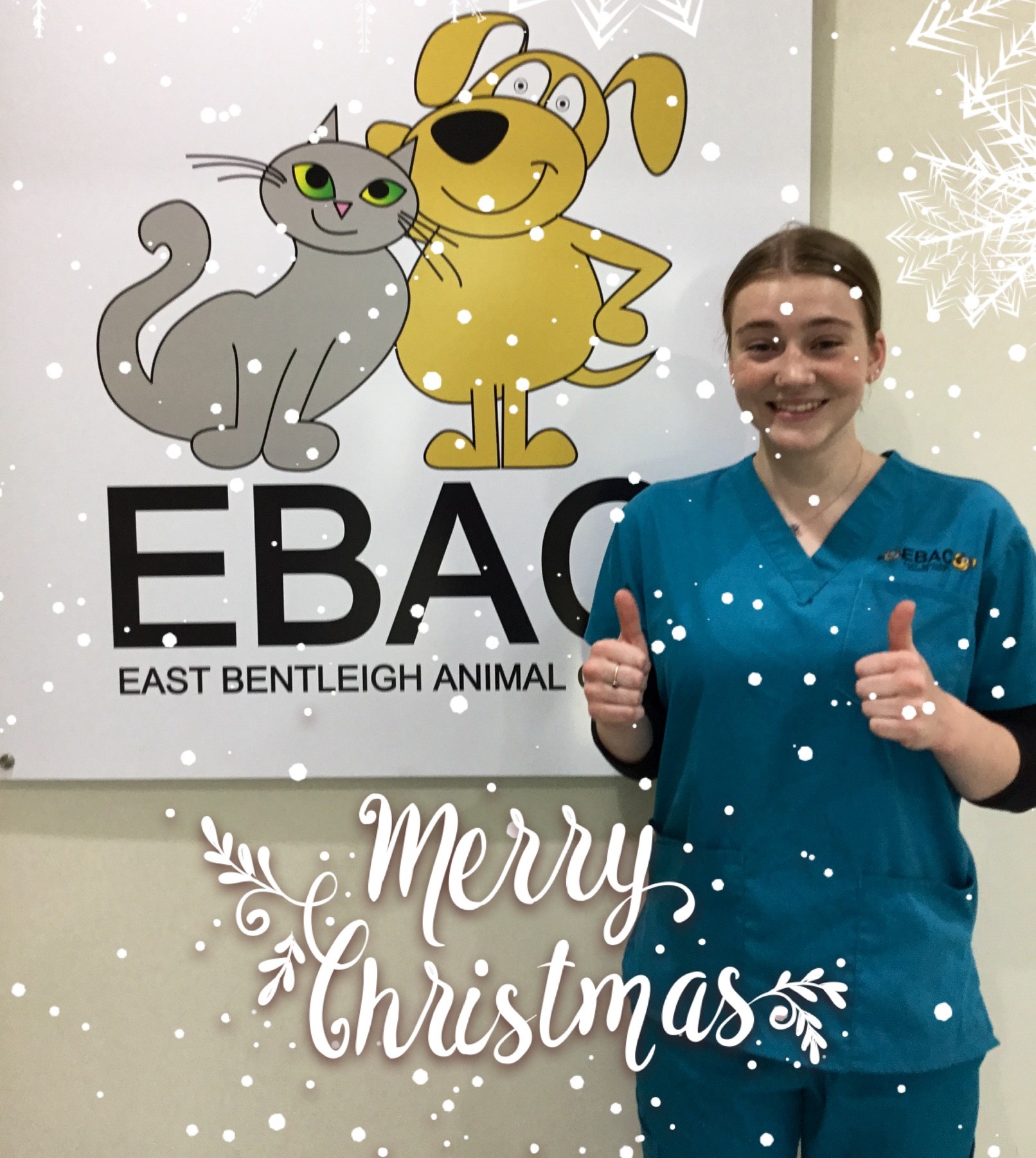 Friendly staff at you local vet East Bentleigh Animal Care