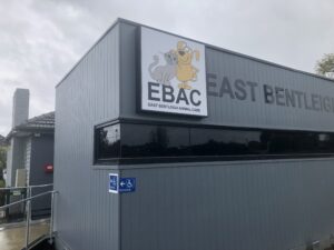 Vet surgical services at East Bentleigh Animal Care