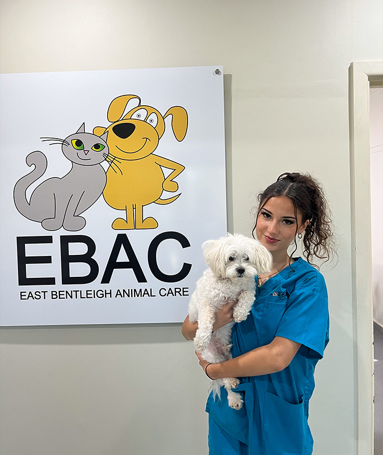 East Bentleigh Animal Care - Meet our Team - Heidi