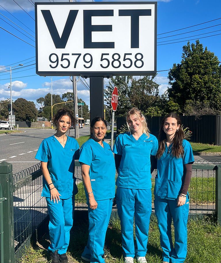 East Bentleigh Animal Care - Meet Our Team - Nurses