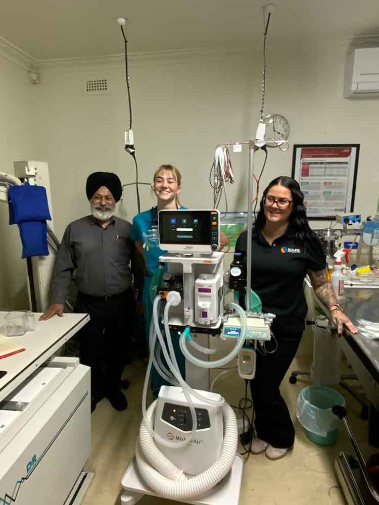 East Bentleigh Animal Care - Orthopaedic Surgery