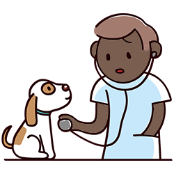 East Bentleigh Animal Care - House Call Vet East Bentleigh Animal Care - House Call Vet